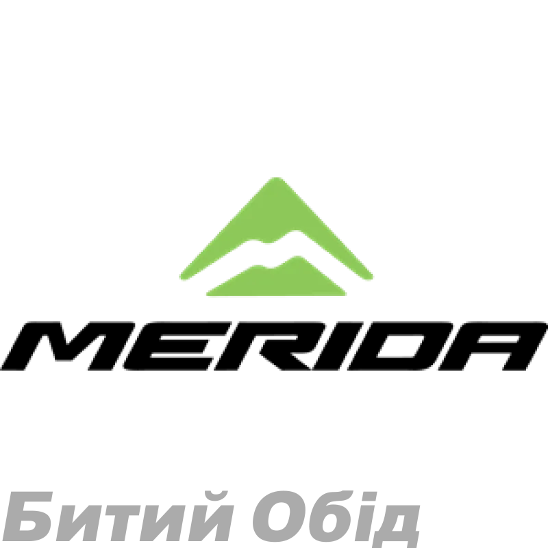 Винт подвески Merida SPECIAL BOLT 20.5D/M8*P1*16.5L
