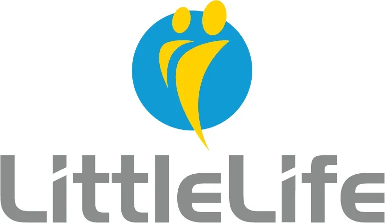 Little Life