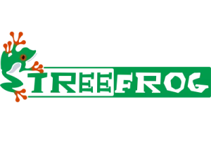 Tree Frog